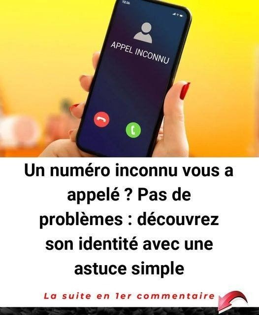 449338021 452712390855548 4785655313554040301 N